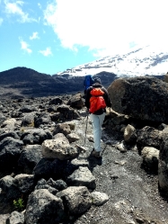 Tag 3.0 Machame Route, Kilimanjaro 2018