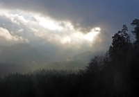 Ausläufer des Großen Lorenzstein im Nebel