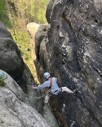 Spreize an der Winterbergbarberine
