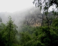 Schwager im Nebel