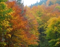 Herbstfarben